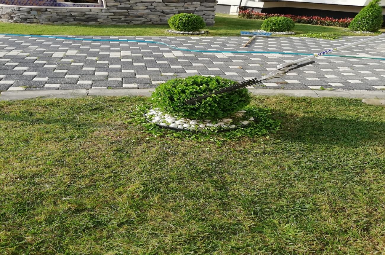 Sakarya da Halı Yıkama