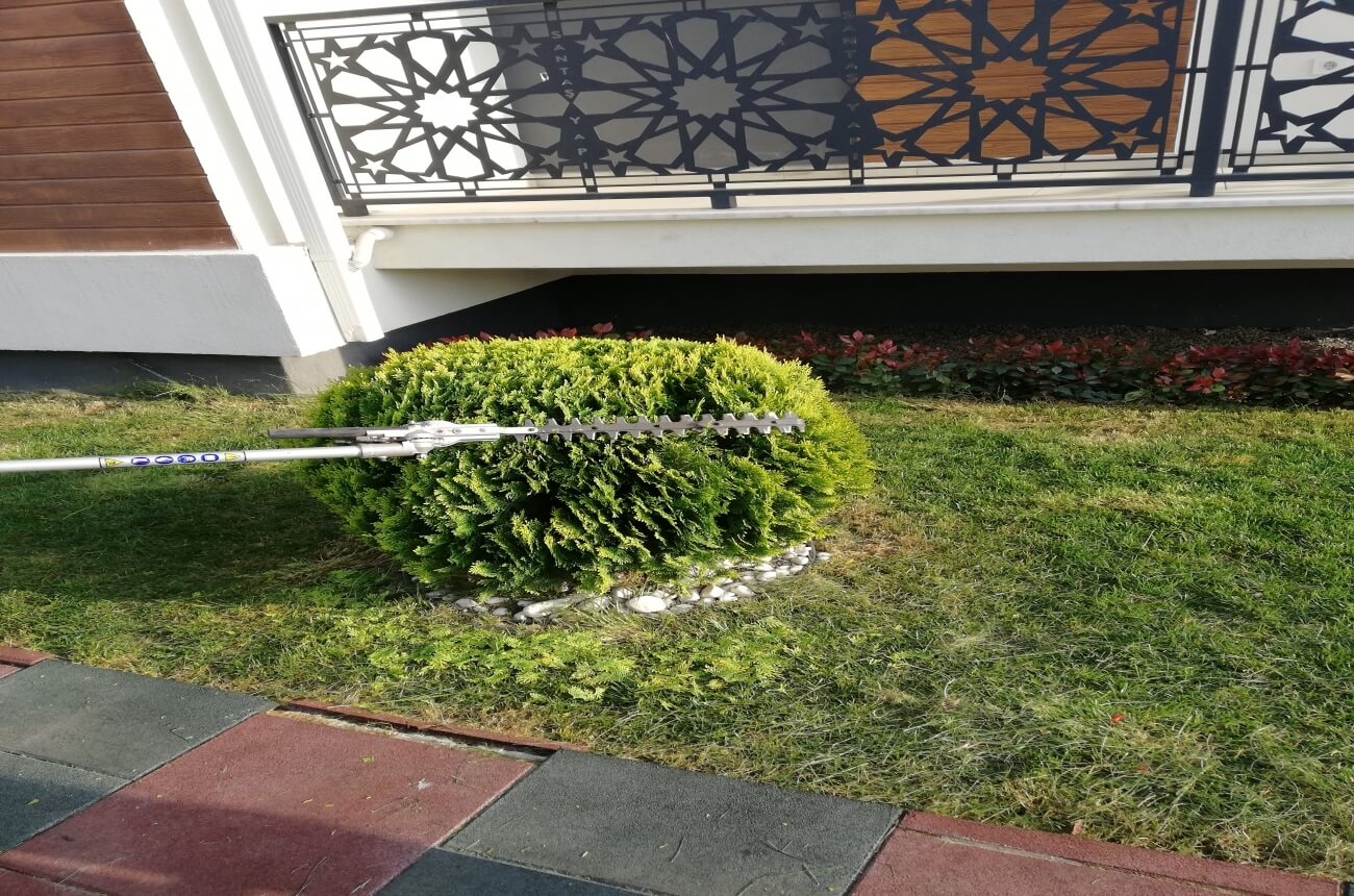 Sakarya da Halı Yıkama