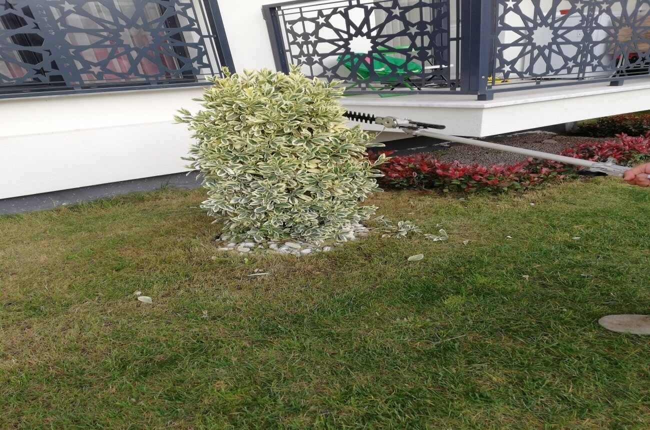 Sakarya da Halı Yıkama